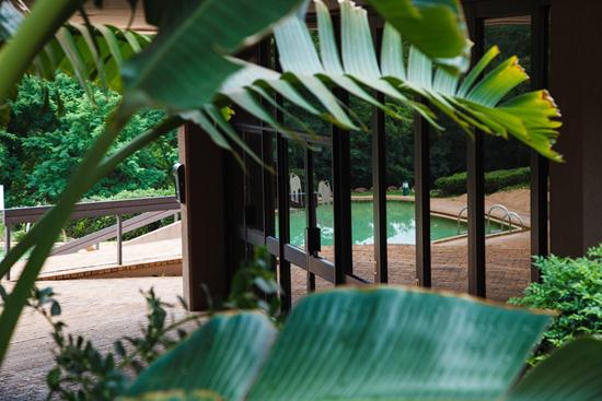 Loskopdam, A Forever Resort: Elephant Room